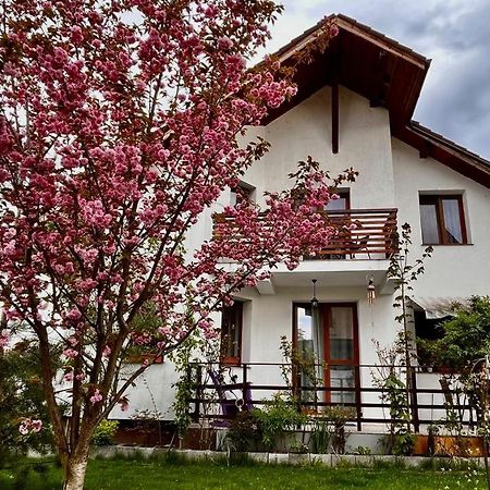 Cristina House Lägenhet Braşov Exteriör bild