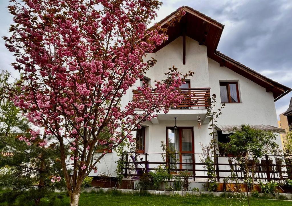 Cristina House Lägenhet Braşov Exteriör bild